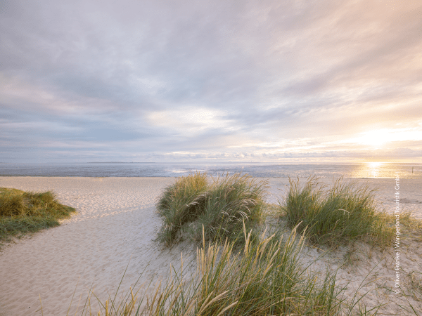 Foto Wangerland Touristik © Oliver Franke - Wangerland Touristik GmbH