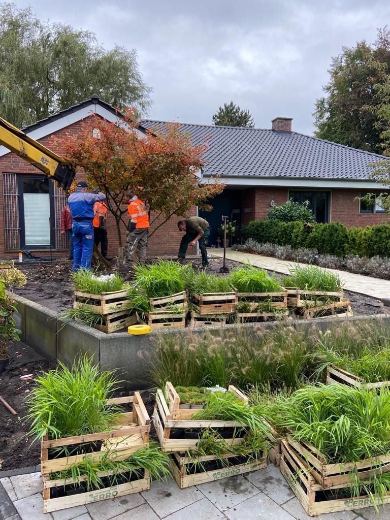 VanBueren_Gartengestaltung - van Büren Garten- und Landschaftsbau