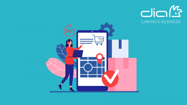 ecommerce_247 - DIA Connecting Software