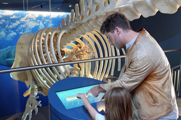 Björn Lübbe - UNESCO-Weltnaturerbe Wattenmeer Besucherzentrum