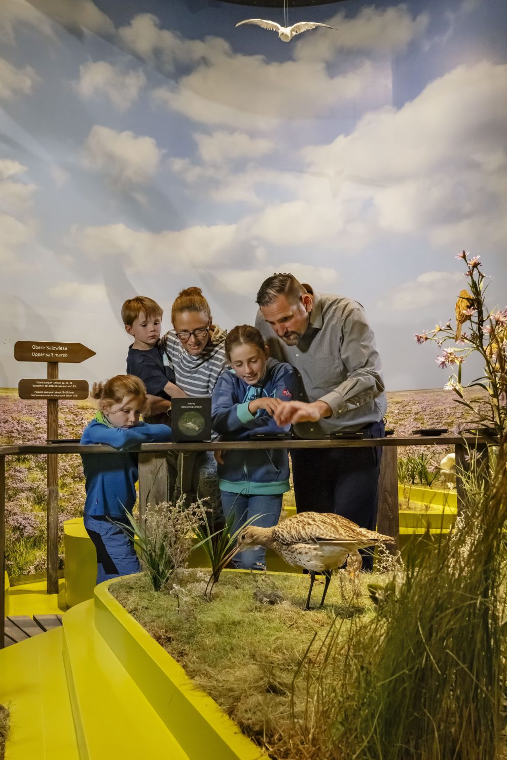 Foto Andreas Keller - UNESCO-Weltnaturerbe Wattenmeer Besucherzentrum