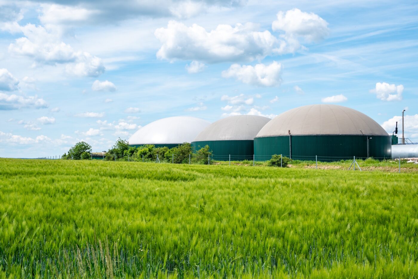 Biogasanlage in Deutschland mit Getreidefeld