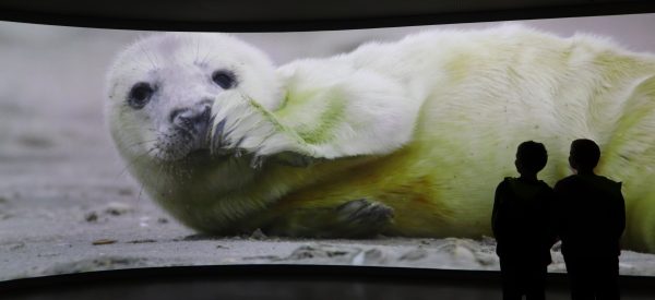 Wattenmeer-Film - UNESCO-Weltnaturerbe Wattenmeer Besucherzentrum