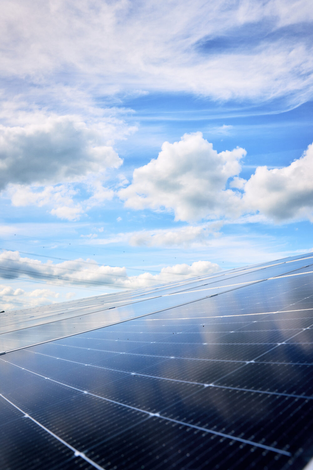 L1070833 1 - Friesen Elektra Green Energy AG