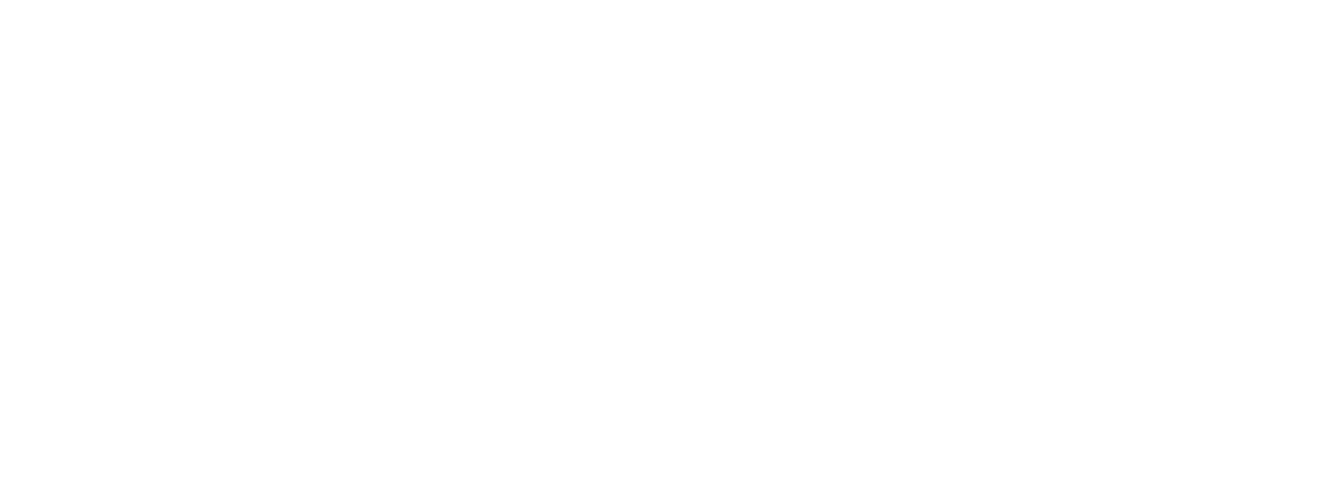 westlake_vinnolit_logo_ohneTM_white